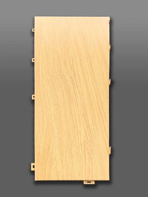 Uitstekend vakmanschap Aluminiumfoelie die de architectuur naar een hoger niveau tilt